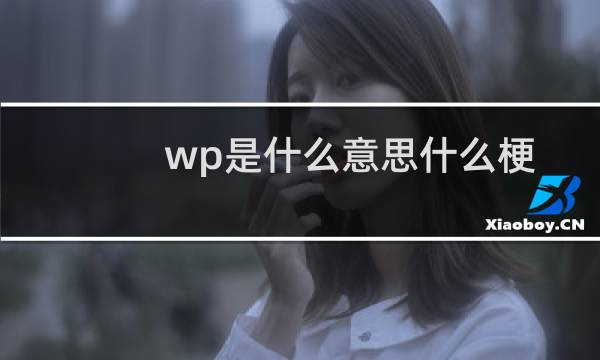 wp是什么意思什么梗
