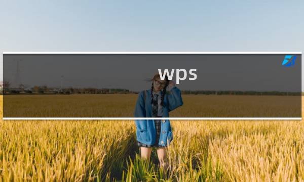 wps/word表格怎么求和