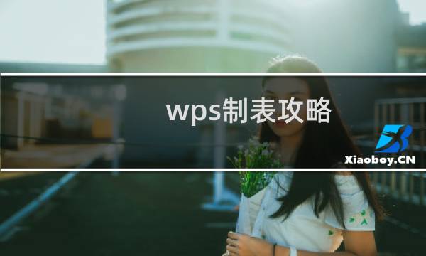 wps制表攻略