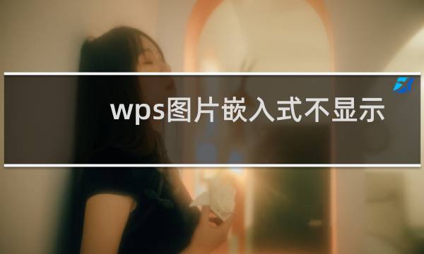 wps图片嵌入式不显示