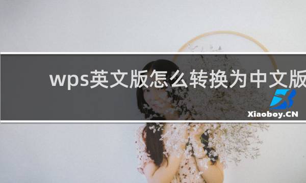 wps英文版怎么转换为中文版