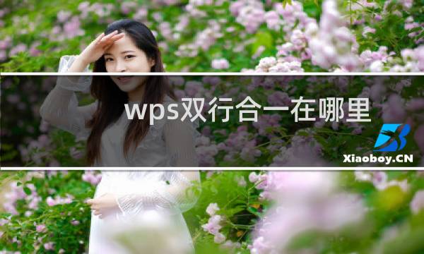 wps双行合一在哪里设置（wps两行合一怎么设置）