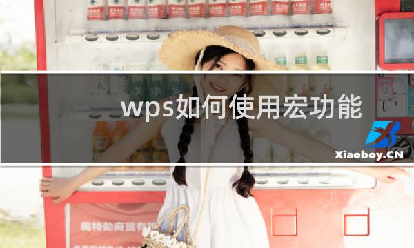 wps如何使用宏功能