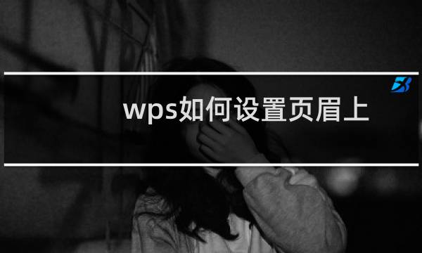 wps如何设置页眉上的页码以及如何修改页码