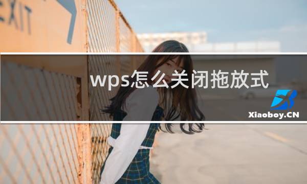 wps怎么关闭拖放式文字编辑功能?