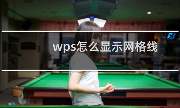 wps怎么显示网格线? wps网格排版文字的教程