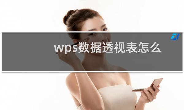 wps数据透视表怎么求和