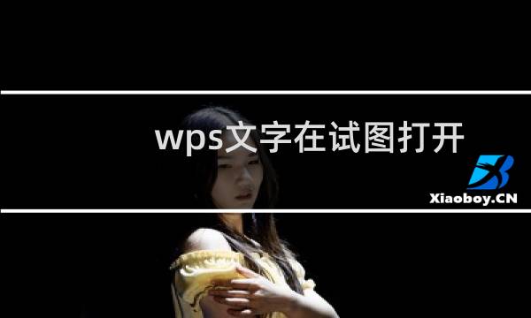 wps文字在试图打开文件时遇到错误怎么办