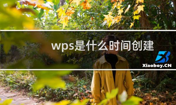 wps是什么时间创建
