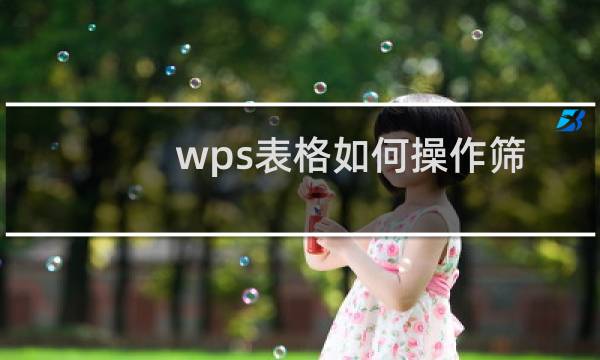 wps表格如何操作筛选格式?