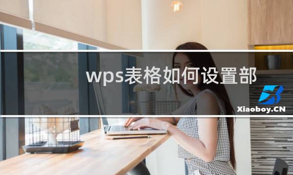 wps表格如何设置部分区域显示网格线