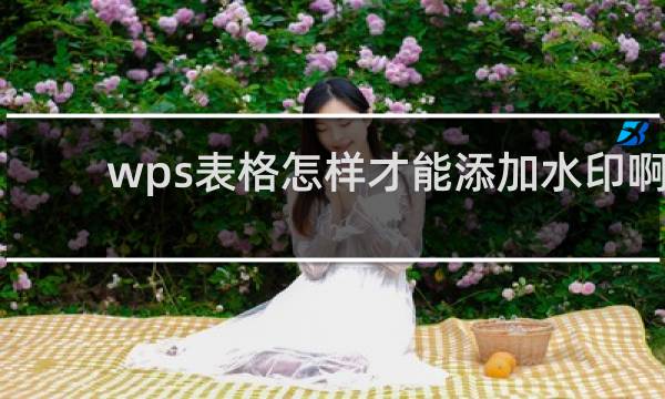 wps表格怎样才能添加水印啊