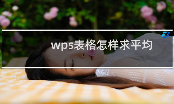 wps表格怎样求平均数