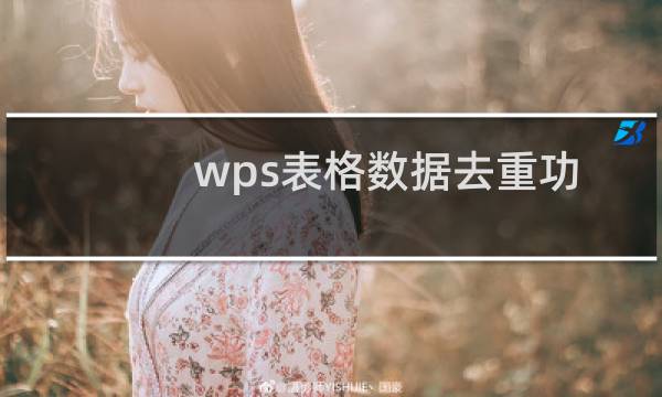 wps表格数据去重功能