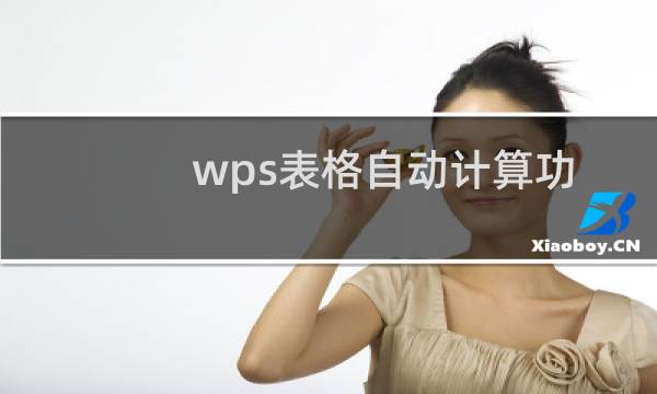 wps表格自动计算功能怎么使用