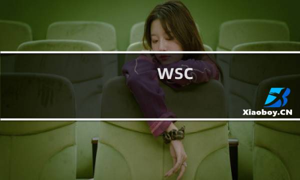 wsc 攻略