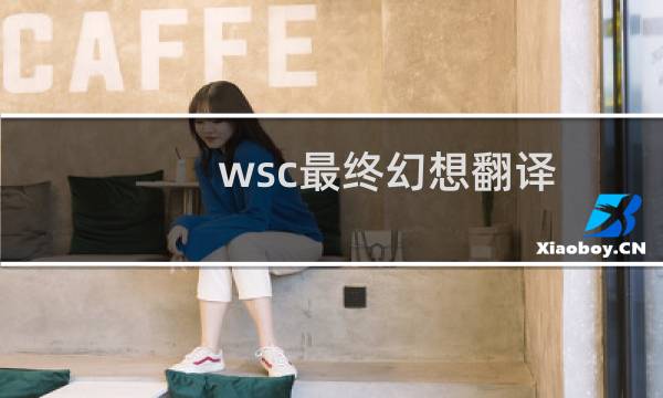 wsc最终幻想翻译