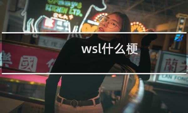 wsl什么梗