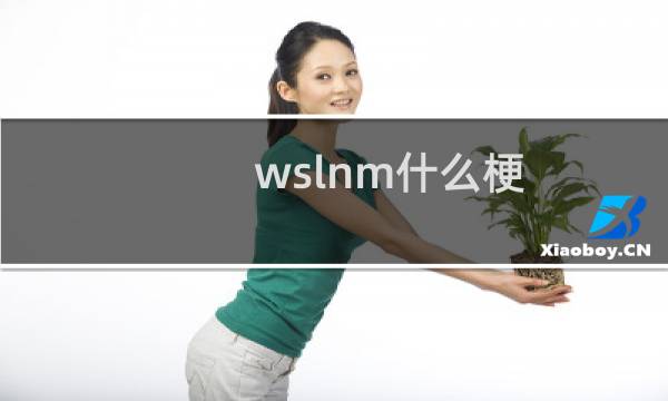 wslnm什么梗