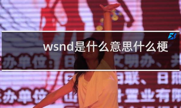 wsnd是什么意思什么梗