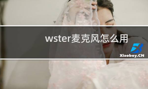 wster麦克风怎么用