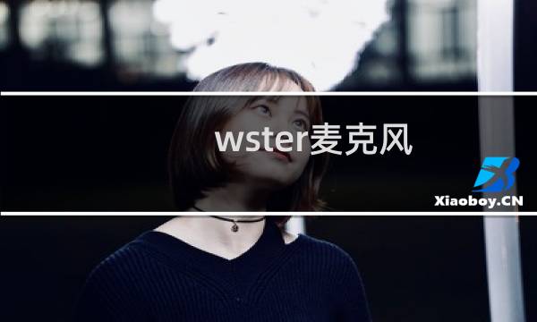 wster麦克风