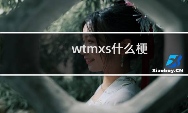 wtmxs什么梗