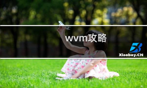 wvm攻略