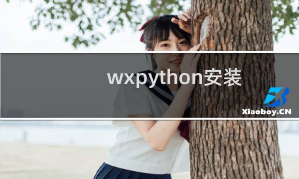 wxpython安装教程