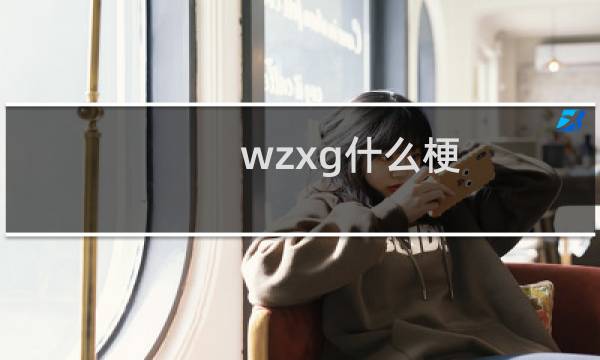 wzxg什么梗