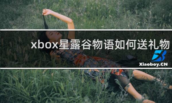 xbox星露谷物语如何送礼物