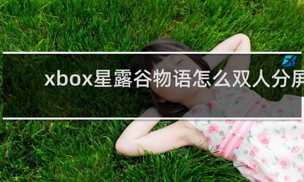 xbox星露谷物语怎么双人分屏