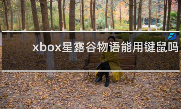 xbox星露谷物语能用键鼠吗