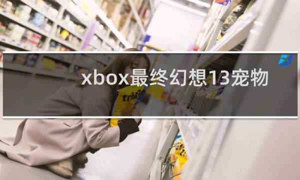 xbox最终幻想13宠物