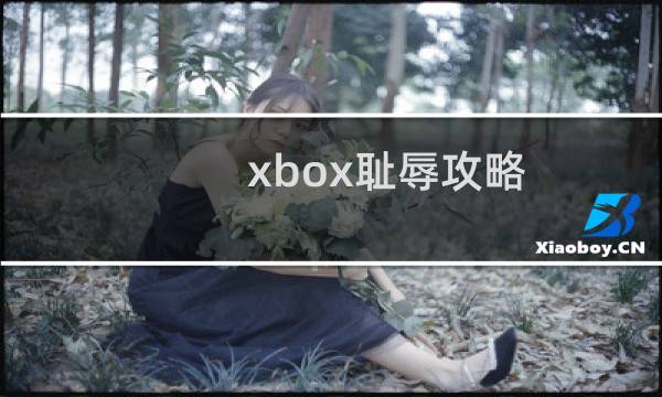 xbox耻辱攻略