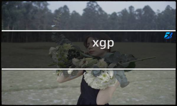 xgp 最终幻想 中文