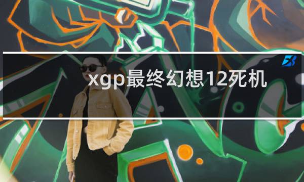 xgp最终幻想12死机