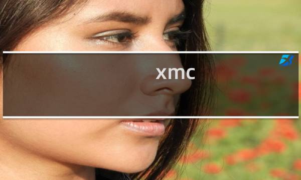 xmc pmc的意思