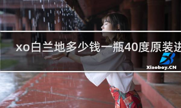 xo白兰地多少钱一瓶40度原装进口