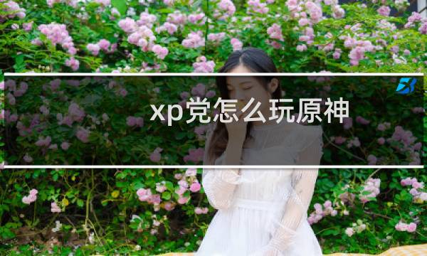 xp党怎么玩原神