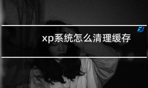 xp系统怎么清理缓存图片