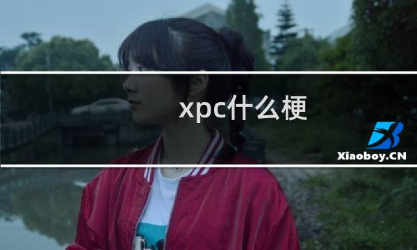 xpc什么梗