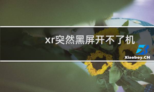 xr突然黑屏开不了机原因（xr突然黑屏开不了机）图片