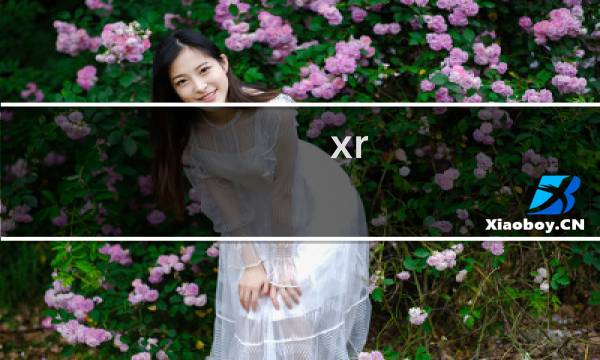 xr 3d touch功能（xr有3dtouch功能吗）