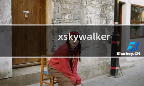 xskywalker天行海购浏览器无法连接服务器解决办法