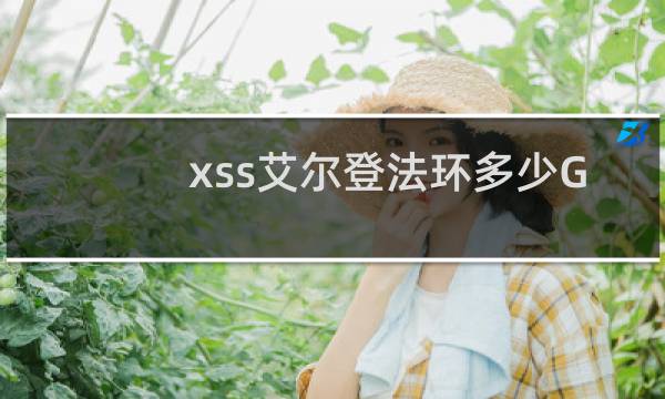 xss艾尔登法环多少G