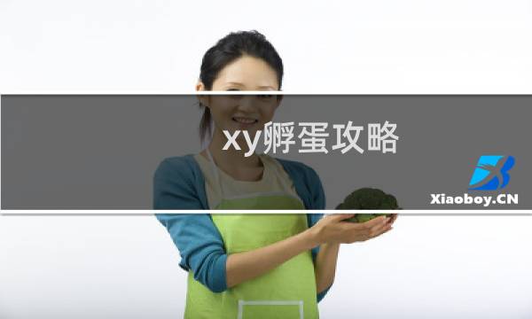 xy孵蛋攻略