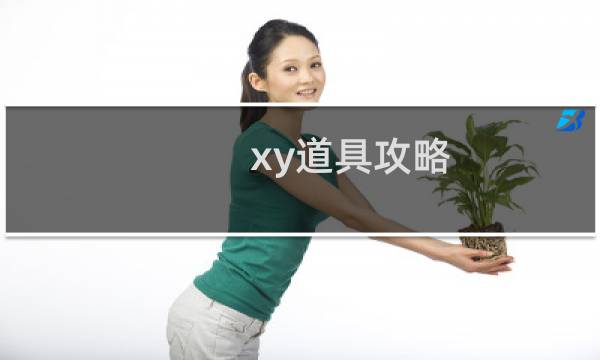 xy道具攻略