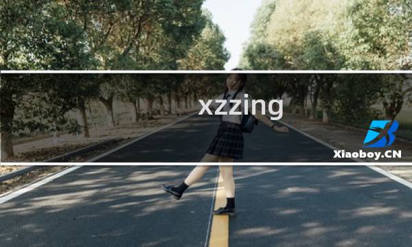 xzzing.com网站打不开