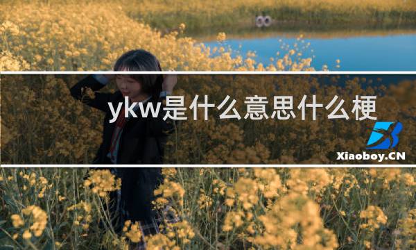 ykw是什么意思什么梗